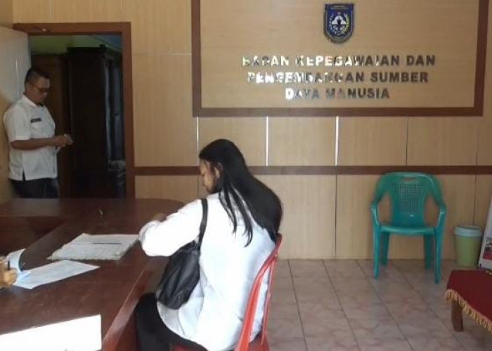 Terkendala Email dan Password, 200 PPPK Paruh Waktu Bengkulu Utara Gagal Unduh SK