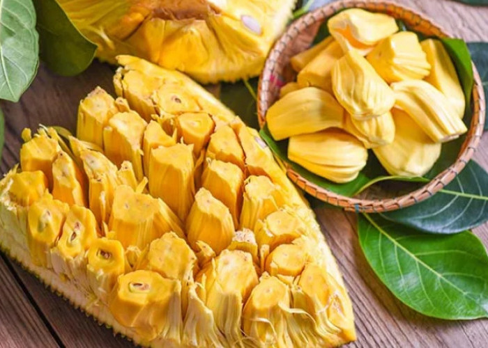 Ini Daftar Kelompok Orang yang Pantang Makan Buah Nangka, Salah Satunya Penderita Alergi