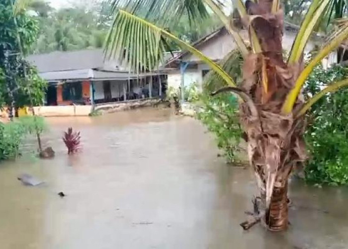 Banjir Kembali Terjang Desa Kaana Bengkulu Utara, Warga Keluhkan Drainase Tidak Mampu Tampung Debit Air