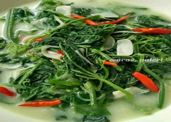 Resep Sayur Bobor Pucuk Labu Gurih dan Segar ala Rumahan