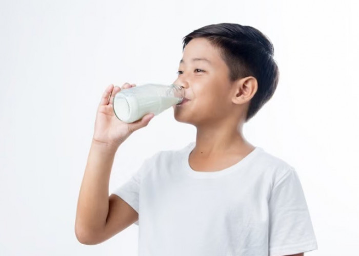 Baik untuk Tulang, Berikut Daftar Produk Susu yang Tinggi Kandungan Kalsium 