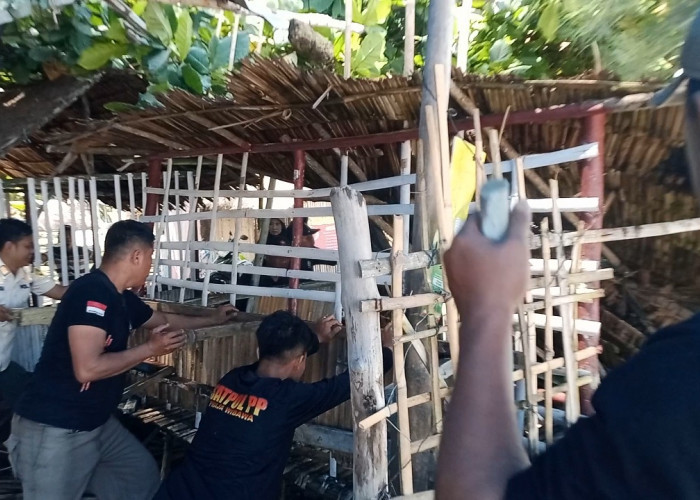 Kembali Tertibkan Pondok Pantai Panjang, Pemkot Bengkulu Siapkan Gazebo Gratis bagi Wisatawan
