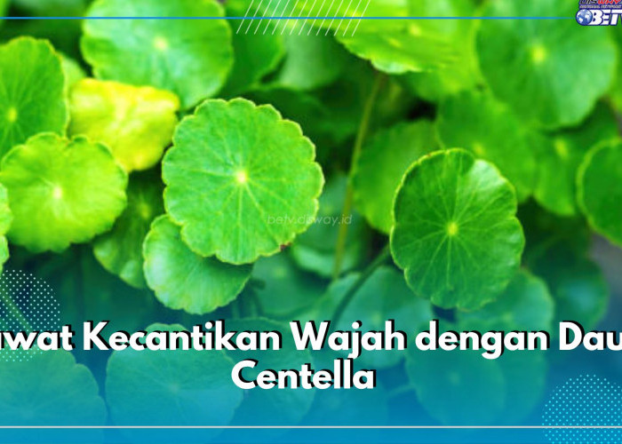 Rawat Kecantikan Wajah dengan Daun Centella, Begini Caranya