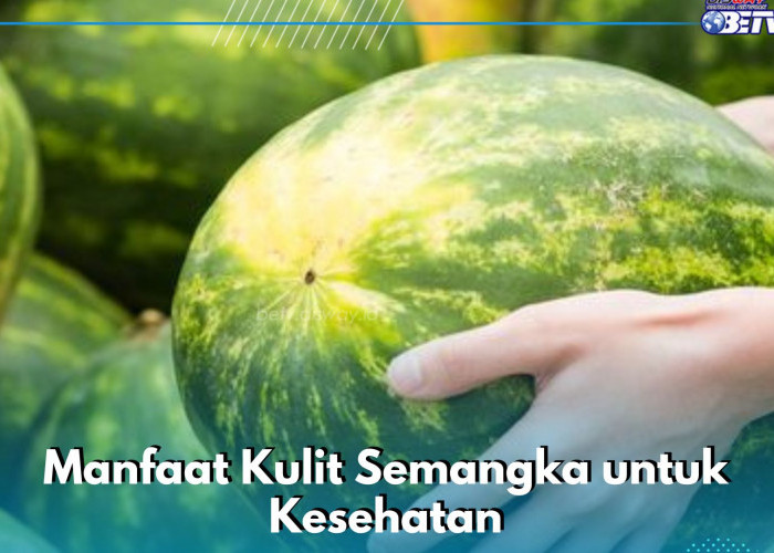 Tidak Hanya Buahnya, Ini 7 Manfaat Kulit Semangka yang Jarang Diketahui