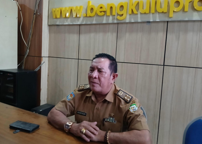 30 ASN Kabupaten/Kota Pindah ke Pemprov Bengkulu Jelang Pelantikan Gubernur, 15 Orang Ajukan Pindah Tugas