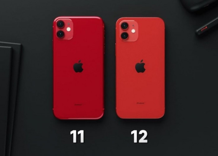 Cek Spesifikasi iPhone 11 dan iPhone 12, Mana yang Lebih Unggul? Berikut Harga Per Maret 2024