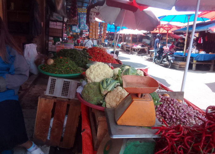 Musim Kemarau, Harga Sayur di Pasar Tradisional Bengkulu Merangkak Naik
