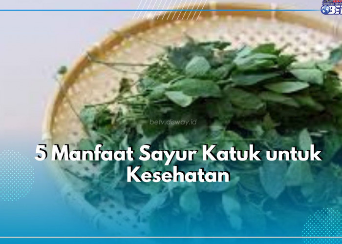 Busui Wajib Tahu Ini, Klaim 5 Manfaat Sayur Katuk untuk Kesehatan, Bisa Tingkatkan Produksi ASI Lebih Cepat