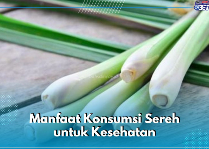 8 Manfaat Sereh yang Jarang Diketahui, Konsumsi Rutin Dipercaya Baik untuk Daya Tahan