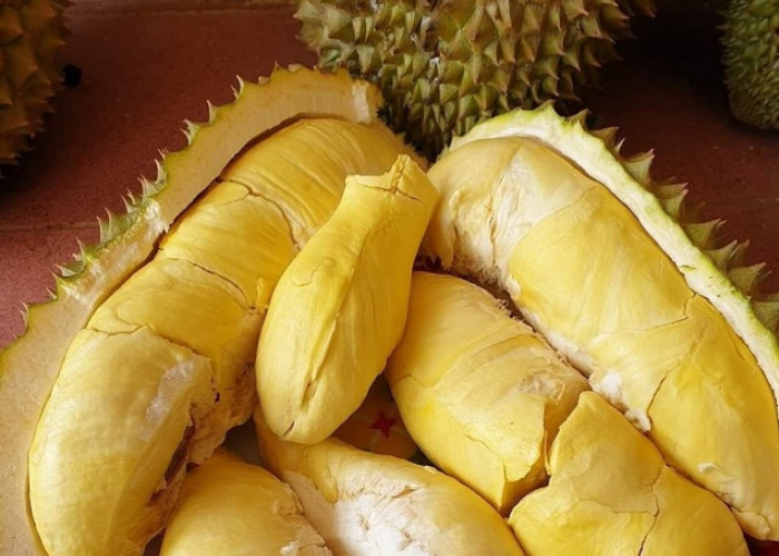 Perlu Tahu, 7 Efek Samping Buah Durian bagi Kesehatan, Berlebihan Bisa Sebabkan Gangguan Pencernaan