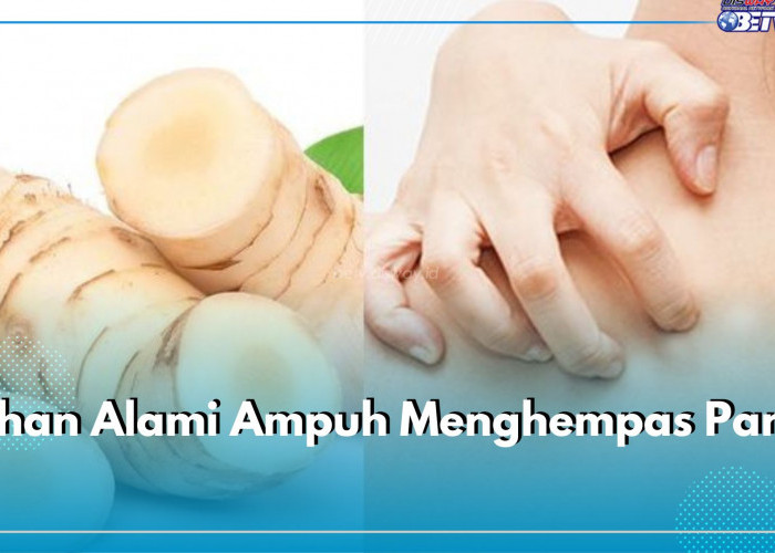 7 Daftar Bahan Alami Ampuh Menghempas Panu Hingga ke Akar, Paling Jitu Pakai Lengkuas hingga Cuka Apel