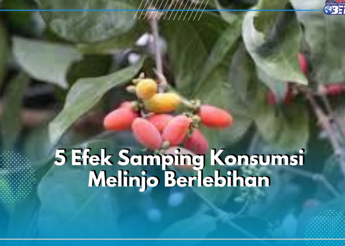 Jangan Anggap Remeh 5 Efek Samping Melinjo Ini, Dapat Sebabkan Tekanan Darah Tinggi