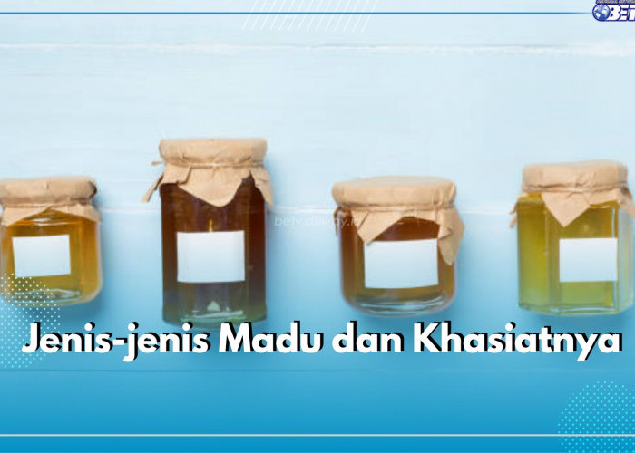 Catat! Inilah 10 Jenis Madu dan Khasiatnya untuk Tubuh, Mana Favoritmu?