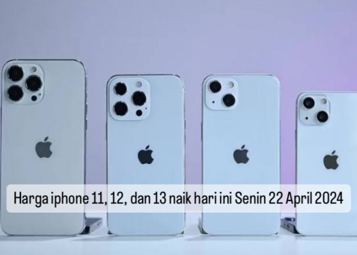 iPhone 11, 12, dan 13 Kompak Naik Hari Ini Senin 22 April 2024, Yuk Cek Harga Terbarunya