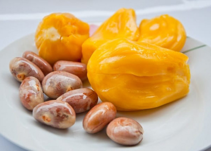 Dilarang Asal-asalan, Ini 4 Kelompok Orang yang Pantang Makan Buah dan Biji Nangka