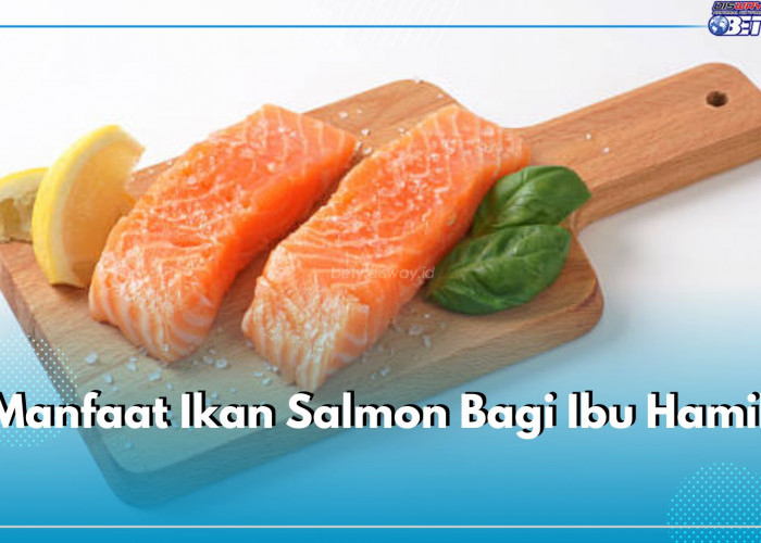 Sumber Lemak dan Protein Tinggi, Ini Sederet Manfaat Mengonsumsi Ikan Salmon Bagi Ibu hamil