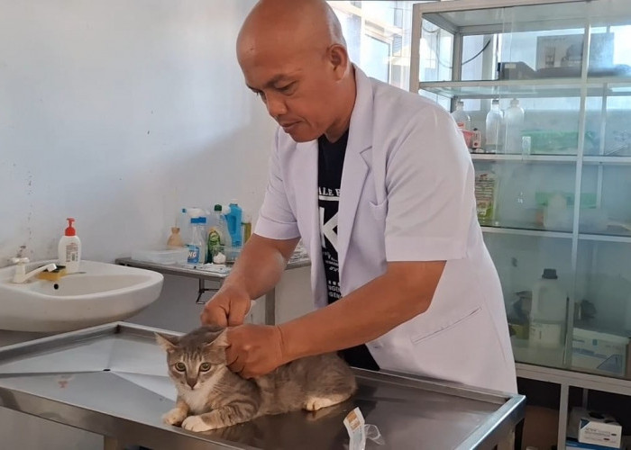 Pemprov Bengkulu Siapkan 1.000 Dosis Vaksin Rabies Gratis untuk Hewan Peliharaan