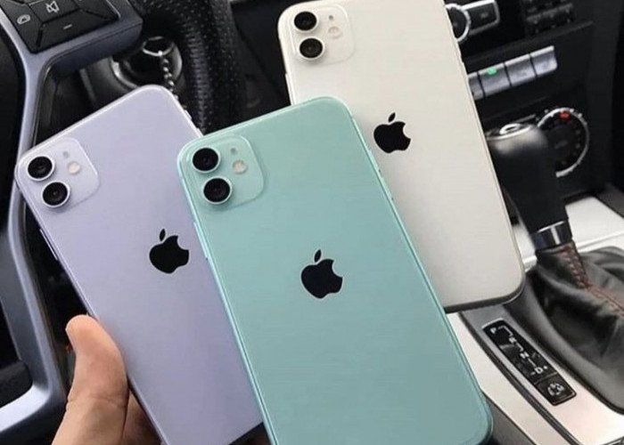 Turun Rp250.000, Cek Sisa Harga iPhone 11 di iBox, Terbaru Hari Ini Selasa 9 April 2024