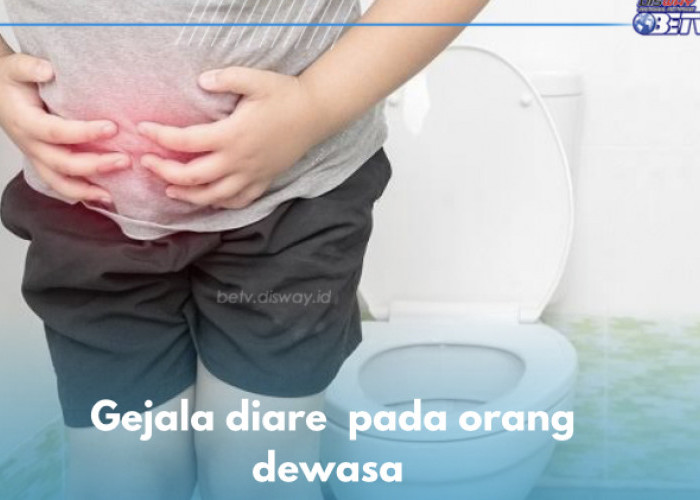 7 Gejala Diare pada Orang Dewasa yang Harus Diwaspadai, Nomor 5 Bahaya