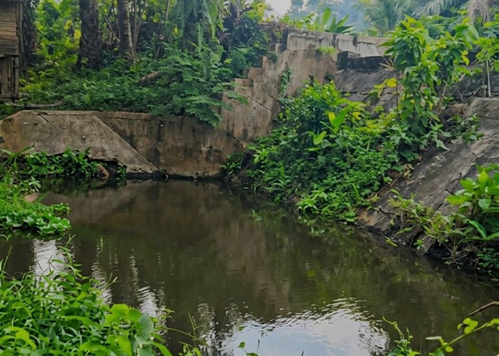 Petani Keluhkan Air Macet, Pemkab Bengkulu Selatan Lobi Pusat Benahi Tebat Baghu