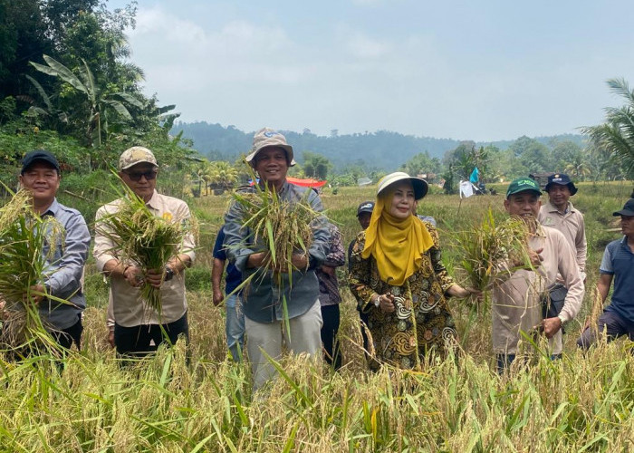 Jonaidi SP, MM: Pemerintah Harus Hadir dan Konsisten dengan Progres Pertanian di Provinsi Bengkulu