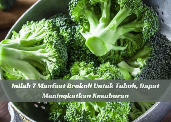 Brokoli Dapat Meningkatkan Kesuburan Rahim, Cek di Sini Manfaat Lainnya untuk Kesehatan