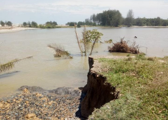 Jangan Dibiarkan, TPI Desa Ketapang Baru di Seluma Rusak Karena Abrasi Laut