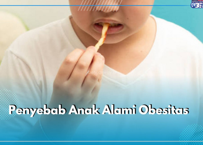 Waspada Obesitas pada Anak, Kenali 5 Penyebab Ini dan Atasi Sejak Dini