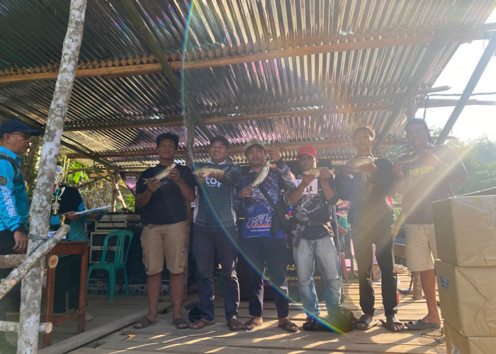Event Sema Fest di Seluma Merugi, Panitia Defisit Hingga Rp20 Juta