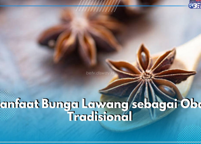 Wajib Tahu! Ini 5 Manfaat Bunga Lawang sebagai Obat Tradisional, Ampuh Redakan Batuk