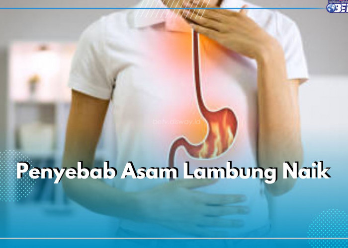 5 Penyebab Asam Lambung pada Tubuh yang Sering Disepelekan, Salah Satunya Kebiasaan Tidur Setelah Makan