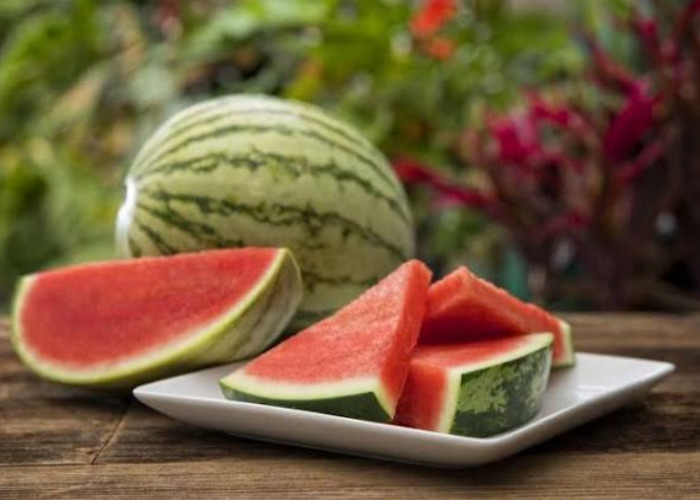 5 Manfaat Konsumsi Buah Semangka Secara Rutin, Dipercaya Ampuh Cegah Sembelit 