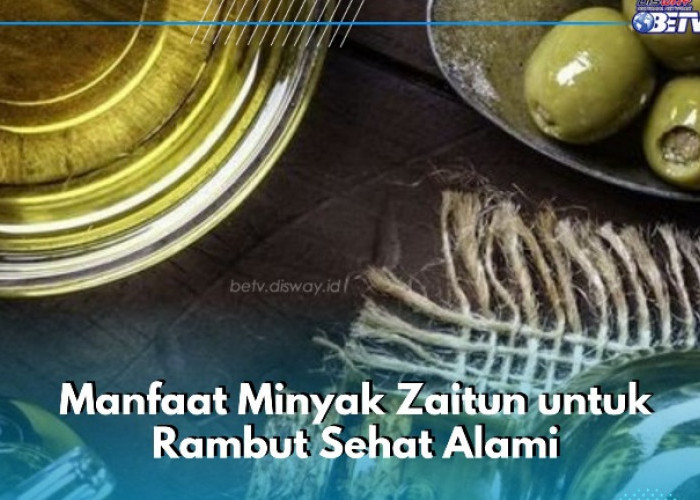 Rambut Makin Sehat dan Tebal, Cek Manfaat Minyak Zaitun Lainnya di Sini