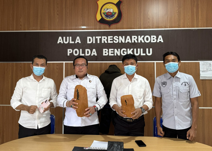 Bawa 2 Kg Ganja dalam Plastik Hitam, Pria Warga Penurunan Diringkus Polda Bengkulu