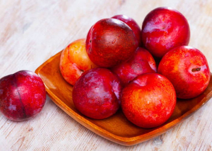 Kandungannya Mampu Merangsang Pertumbuhan Rambut, Cek di Sini Ragam Manfaat Plum Merah untuk Kulit Kepala