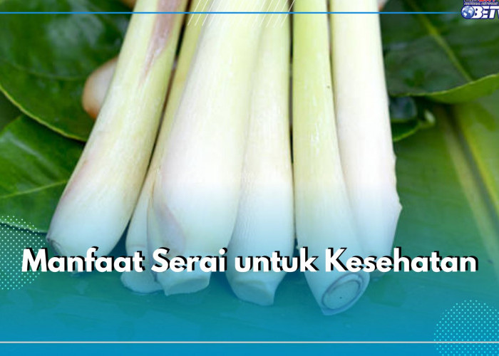 Baik untuk Penderita Hipertensi, Ini 5 Manfaat Serai untuk Kesehatan yang Perlu Kamu Ketahui