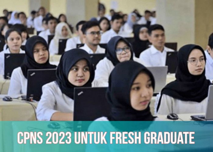 CPNS 2023 Buka Formasi untuk Fresh Graduate, Ini Detail Posisi dan Jurusan Prioritasnya