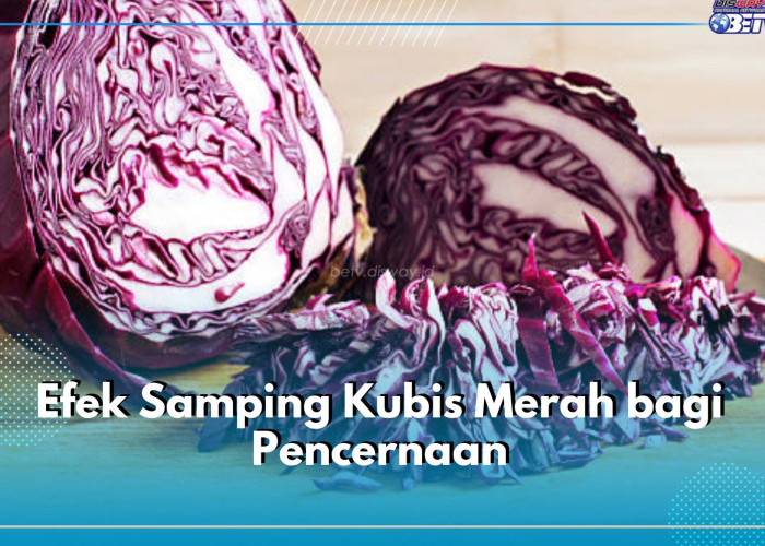 Jangan Berlebihan! Ini 5 Efek Samping Kubis Merah bagi Pencernaan dan Tips Mengurangi Dampak Buruknya