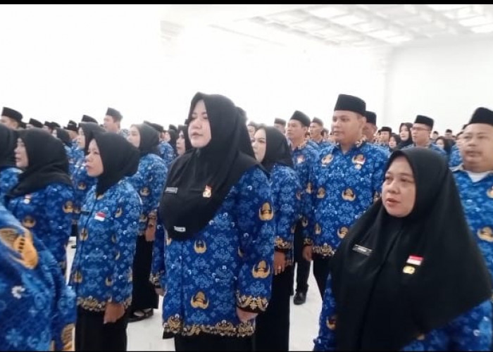 Menunggu Juknis Pusat, Pemkot Bengkulu Belum Bisa Pastikan THR bagi PPPK Paruh Waktu