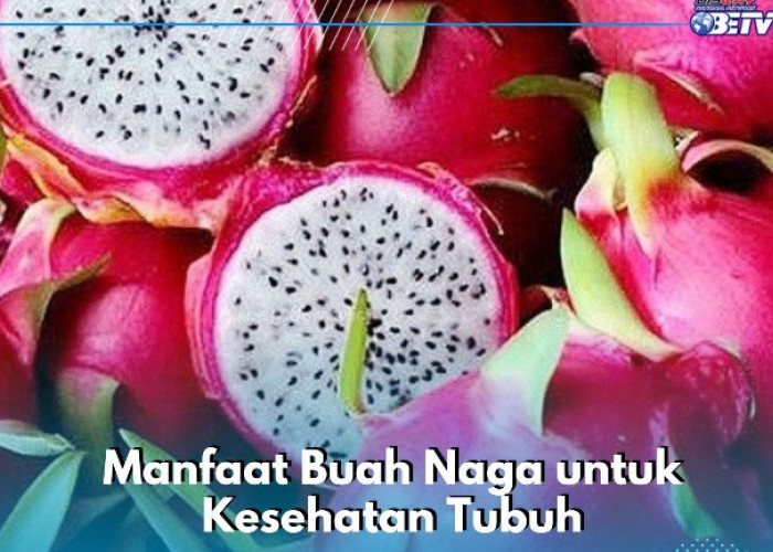 Buah Naga Punya Manfaat Mengurangi Jerawat, Cek Lengkapnya di Sini