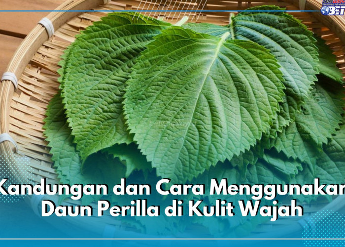 Bermanfaat untuk Kecantikan, Cek Kandungan Nutrisi dan Cara Menggunakan Daun Perilla di Kulit Wajah