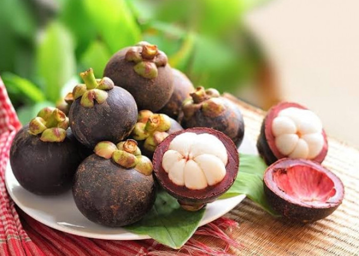Tinggi Protein, Ini Manfaat Buah Manggis Bagi Kesehatan Tubuh Anda!