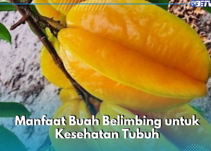 Cukup Konsumsi Buah Belimbing Sehari-hari, Ini 6 Manfaat yang Akan Dirasakan Bagi Kesehatan