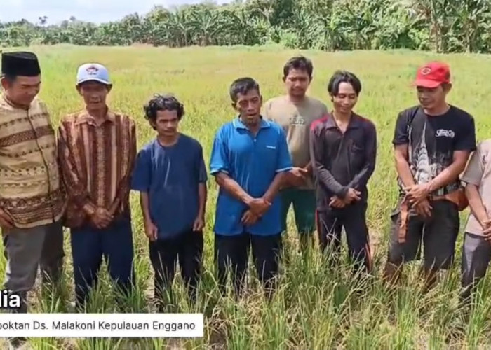 HUT RI ke-81 Jadi Momentum Petani, Buruh dan Mahasiswa Bengkulu Dorong Kemajuan Negeri