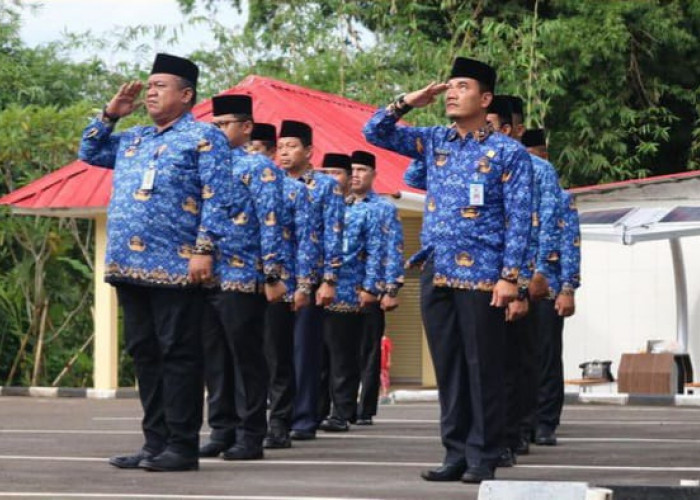 ASN Bengkulu yang Maju Pilkada 2024 Wajib Mengundurkan Diri