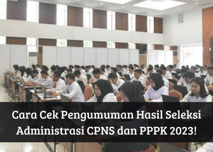 Namamu Ada? Segera Cek Pengumuman Hasil Seleksi Administrasi CPNS dan PPPK 2023, Klik Link SSCASN di HP Kamu