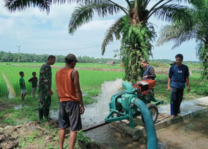 Distan Seluma Kembali Usulkan 70 Unit Mesin Pompa Air Antisipasi Kekeringan Lahan