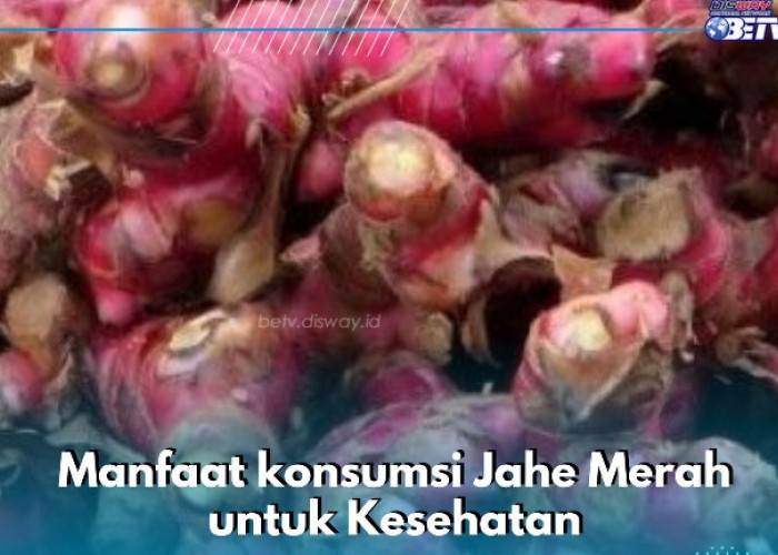 Manfaat Jahe Merah bagi Kesehatan Tubuh, Dipercaya Dapat Meredakan Nyeri Menstruasi