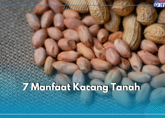 7 Manfaat Kacang Tanah, Bagus Untuk Jantung, Pastikan Konsumsi Sewajarnya