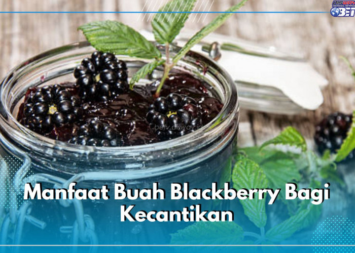 Ini 5 Ragam Manfaat Rutin Mengonsumsi Buah Blackberry, Bagus Untuk Kecantikan Kulit